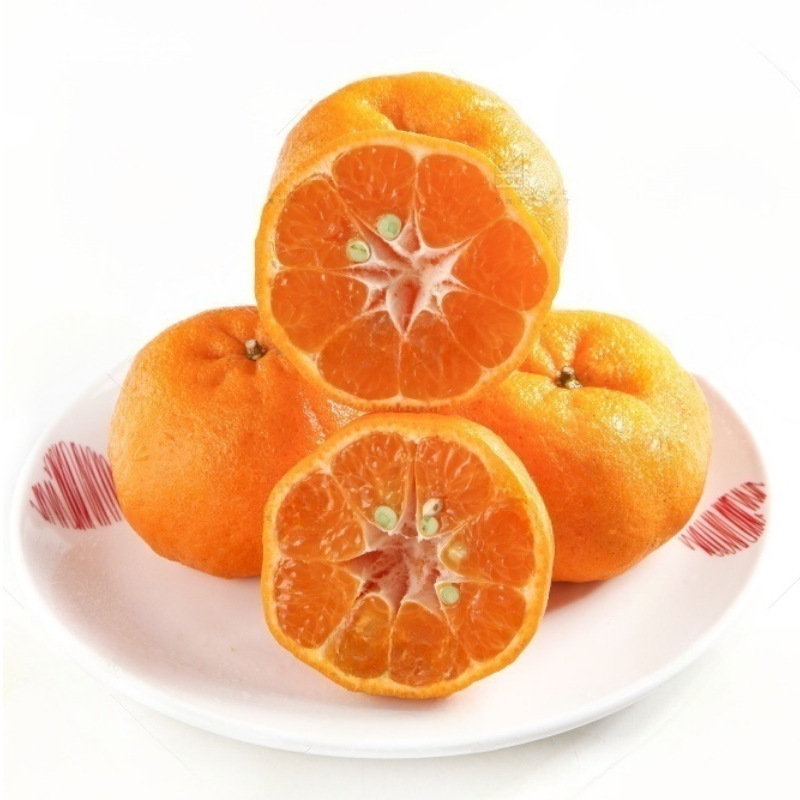 Bulk Premium Oranges Exceptionally Sweet Juicy No Pesticides Abundant Nutrition Direct From Sun - Kissed Orchards - Image 3