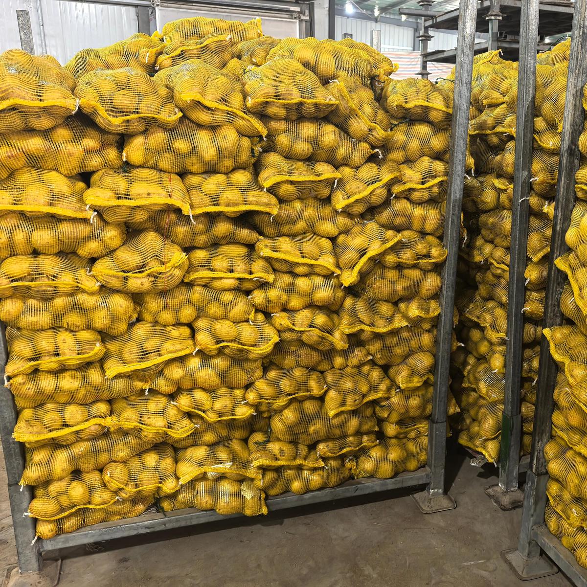 Wholesale New Season Yellow Potato Factory Cheap Price 85-150g 100-200g Holland Potato 10kg 20kg Packing - Image 3