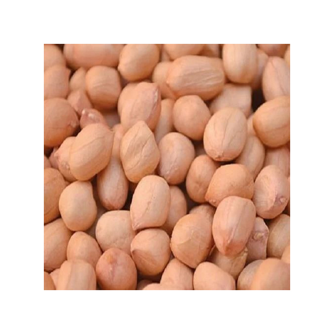 High Quality Organic Roasted Raw Java Peanuts Fresh Blanched Peanut Kernels Bold Organic Blanched Red Peanuts for Snacks - Image 4