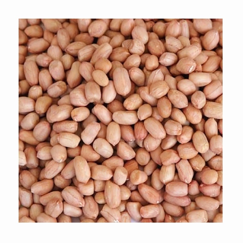 High-nutrition Raw Peanut Kernels in Bulk Dried Red-shelled Peanuts for Sale As Healthy Snack - Image 4
