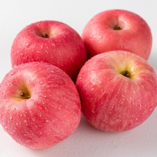 Fuji Apples From South Africa Fresh and Wholesome Green Top Grade at ...