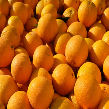 Best Selling and High Premium Fresh Valencia Oranges Fresh 100% Natural Pure Healthy Valencia Orange for Sale - Image 4