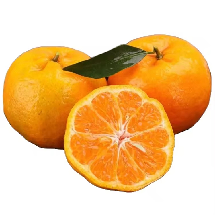 Bulk Premium Oranges Exceptionally Sweet Juicy No Pesticides Abundant Nutrition Direct From Sun - Kissed Orchards - Image 4