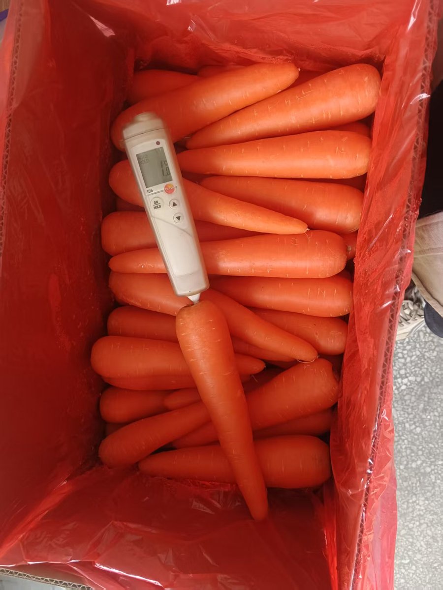 Supplier Offers New Season Organic Baby Sweet Carrots Fresh Vegetables Seeds for Food Use Wholesale Price - Image 4