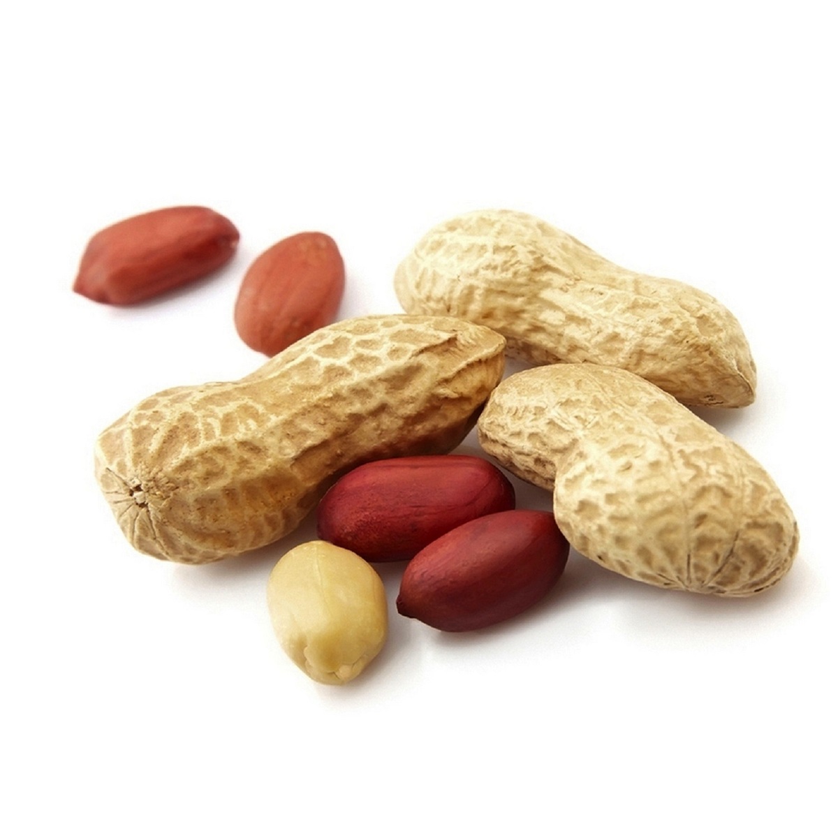Bulk Raw Peanuts Prices Red Skin Peeled Peanut Nuts - Image 4