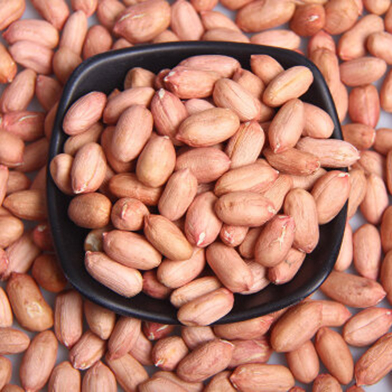 Buyers for Wholesale Jumbo Raw Peanuts High Quality Natural Bold Blanched Peanuts Kernels - Image 5