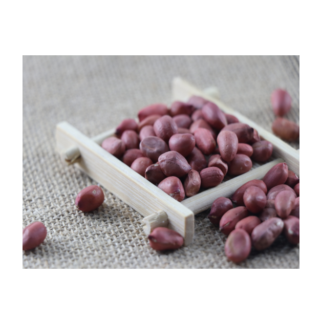 Red Skin peanuts With High Nutritional Value Originated in Africa - Image 4