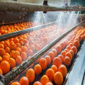 Best Selling and High Premium Fresh Valencia Oranges Fresh 100% Natural Pure Healthy Valencia Orange for Sale - Image 5