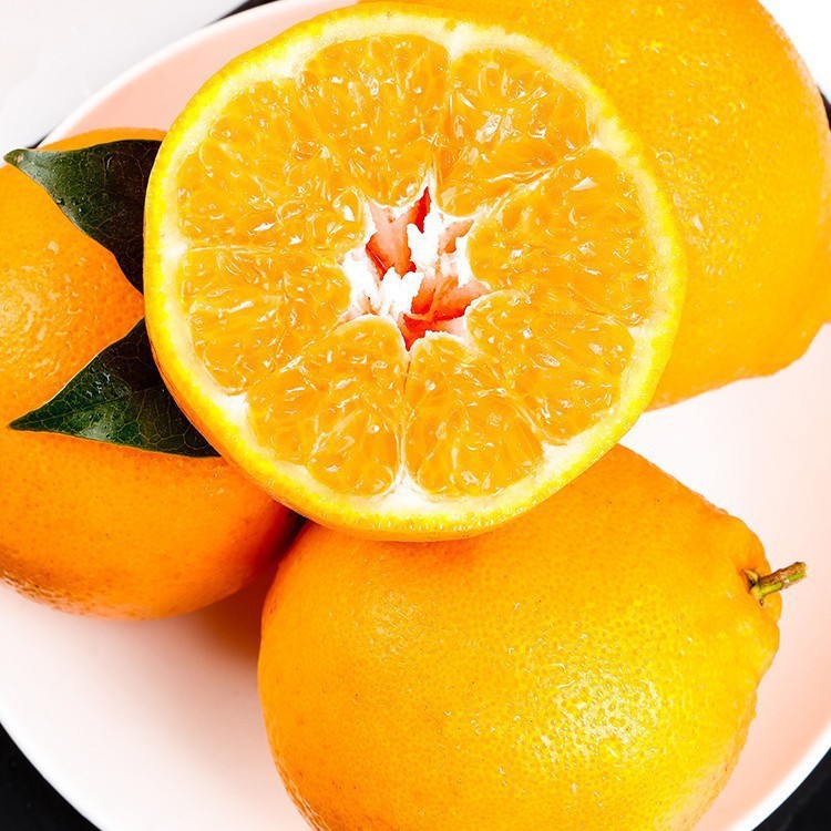 Bulk Premium Oranges Exceptionally Sweet Juicy No Pesticides Abundant Nutrition Direct From Sun - Kissed Orchards - Image 5