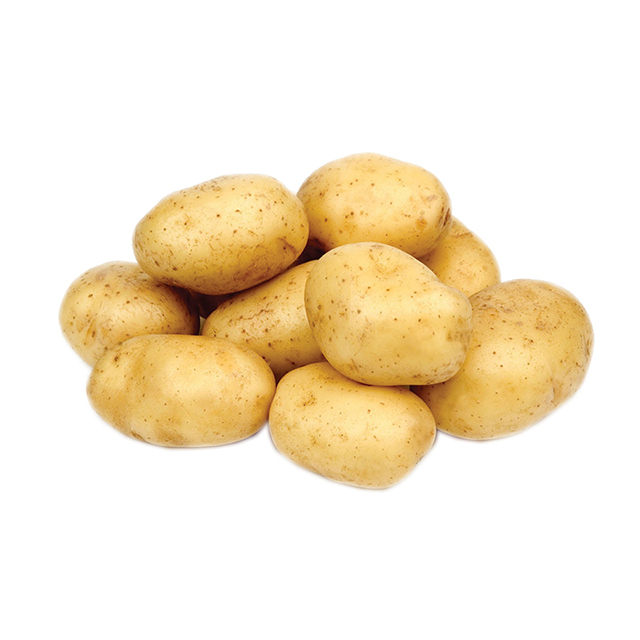 Wholesale Premium Fresh Potatoes from Africa - Image 5