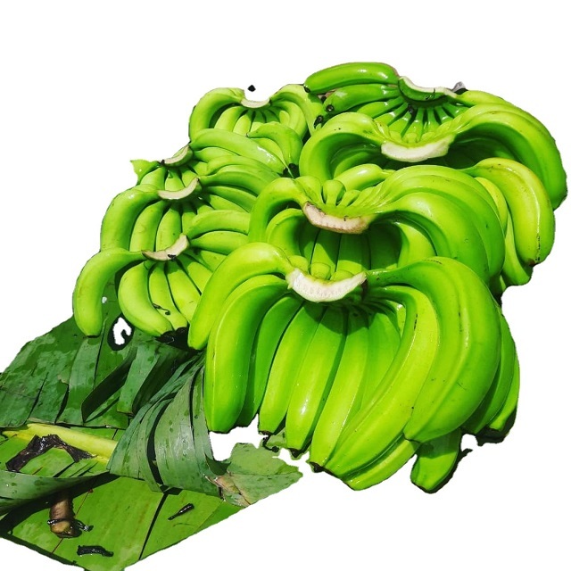Best 100% High Quality Green Banana Fresh Cavendish Banana Cheap Prices for Hot Sales - Image 4