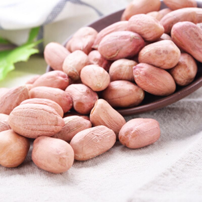 Buyers for Wholesale Jumbo Raw Peanuts High Quality Natural Bold Blanched Peanuts Kernels - Image 4