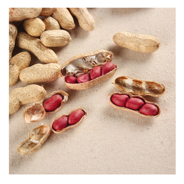 Red Skin peanuts With High Nutritional Value Originated in Africa - Image 5
