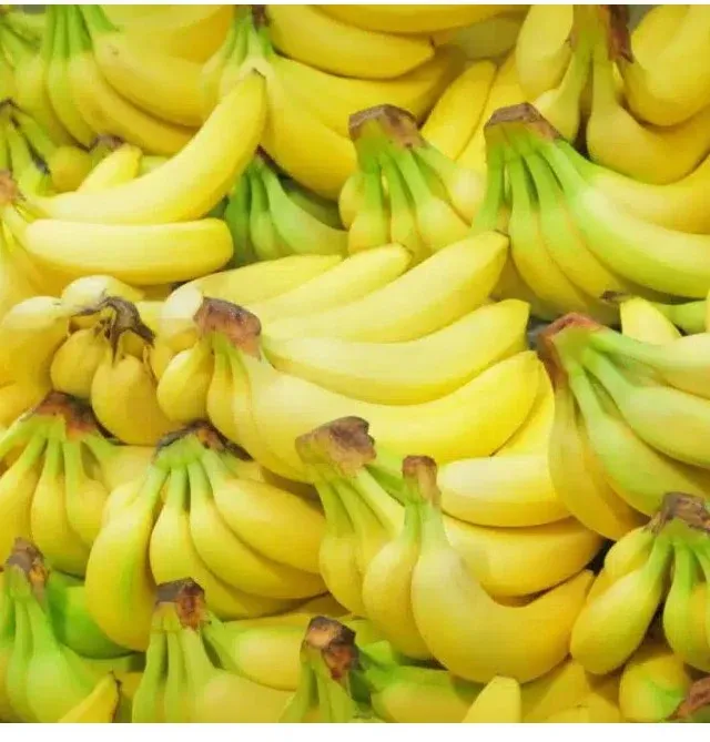 Fresh Cavendish Banana Musa Musa Acuminata Cavendish Subgroup Tropical Export Quality - Image 5