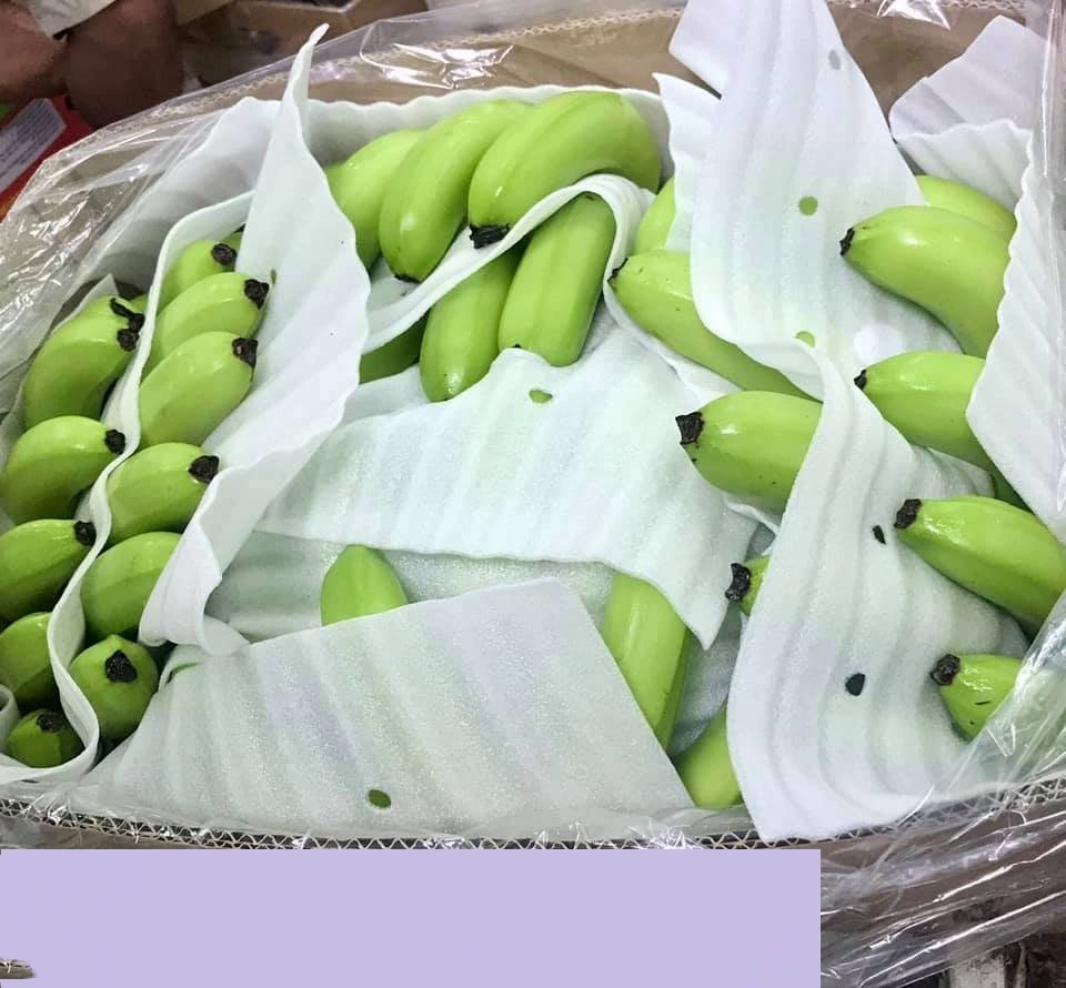 THE PREMIUM FRESH BANANA CANVENDISH FROM AFRICA for SALE/ HOT Selling FRESH BANANA CAVENDISH - Image 3