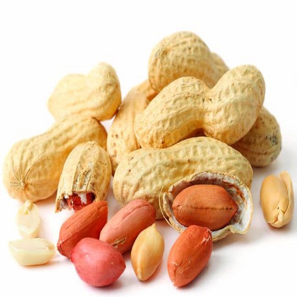 Bulk Raw Peanuts Prices Red Skin Peeled Peanut Nuts - Image 6