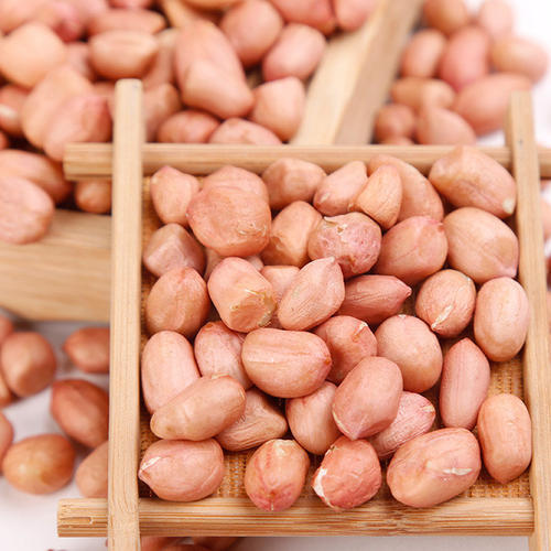 Buyers for Wholesale Jumbo Raw Peanuts High Quality Natural Bold Blanched Peanuts Kernels - Image 2