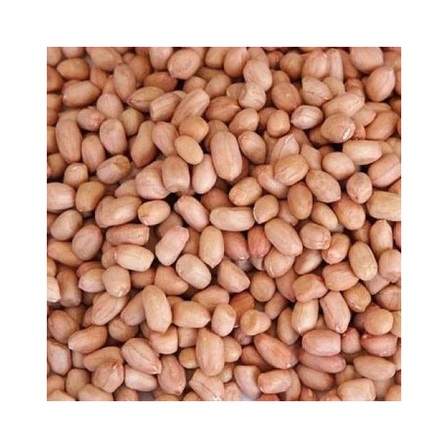 High Quality Organic Roasted Raw Java Peanuts Fresh Blanched Peanut Kernels Bold Organic Blanched Red Peanuts for Snacks - Image 6