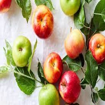 Customer Favorite Royal Gala Apples for Sale at Wholesale Prices - Image 4