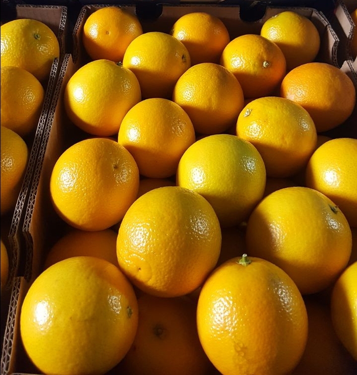 HIGH QUALITY MIDKNIGHT FRESH SWEET VALENCIA ORANGES for WHOLESALE - Image 5