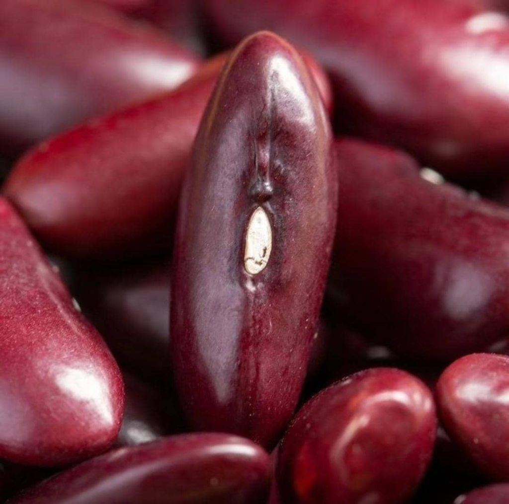 Hot Discounts Bulk 25kg Dried Dark Red Kidney Bean Africa 2 Years Shelf Life