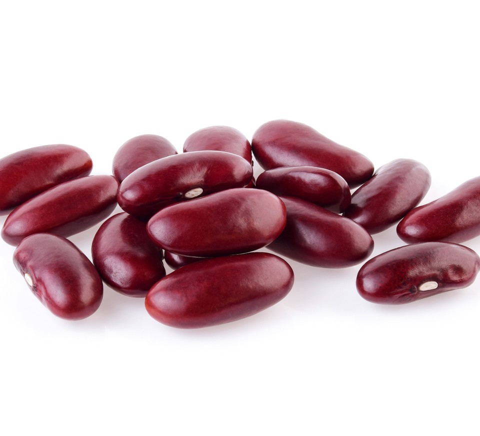 High Quality Bulk Packed White Kidney Beans FD Dried Africa Origin Wholesale at Competitive Prices