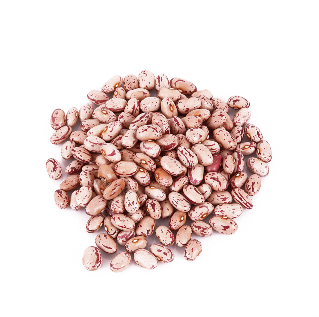 Light Speckled Kidney Beans Farm Fresh Carefully Sorted Whole Beans Rich In Plant Protein For Wholesale Food Ingredient Supply