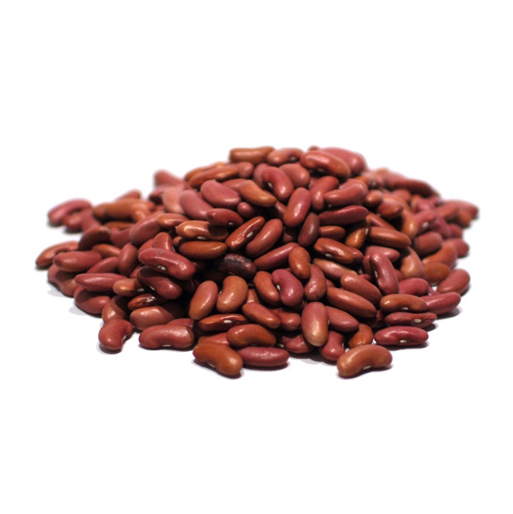 Red Kidney Beans For Sale Top Grade Wholesale Red kidney Beans For Sale In Cheap Price