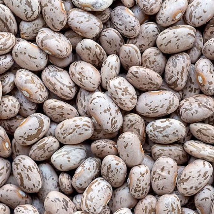 Organic Pinto Beans Light Speckled Kidney Beans Fresh and Dried Bulk Pack for Food Use GMO Cultivation
