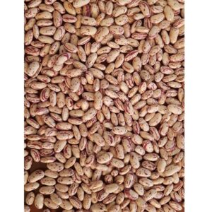 High Quality Healthy Light Speckled Kidney Beans for Sale