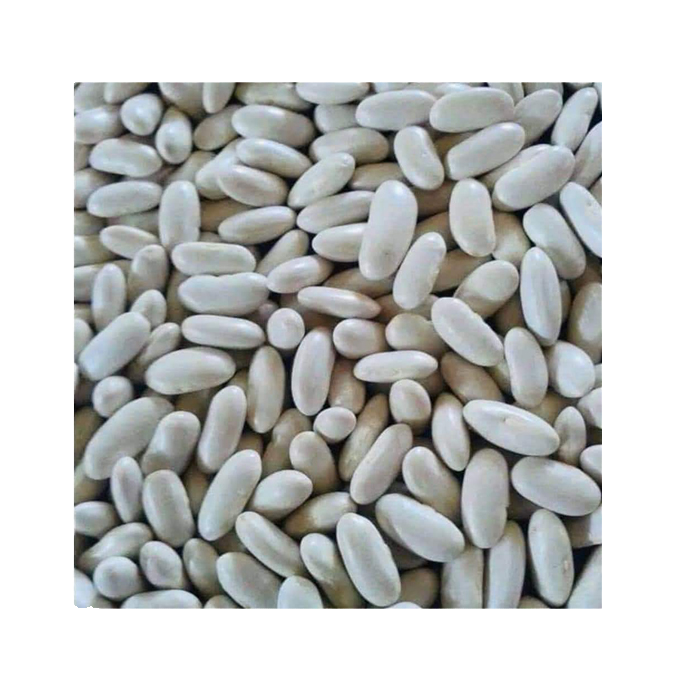Light Speckled Dark Red Kidney Beans Dried Whole Organic Hand Picked Top Grade Bulk Pack