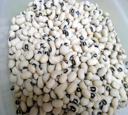 High Quality Fresh Black Kidney Beans, 100% Mature for Food Use