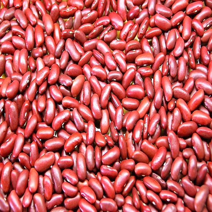 High Quality Organic Dried Red Kidney Beans at Export Standard 25kg Vacuum Pack Factory Direct 24 Months Shelf Life Best Price