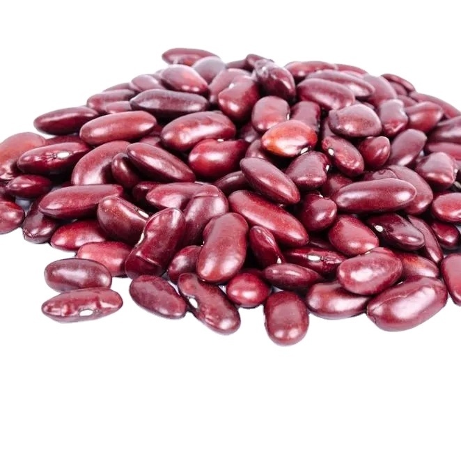Premium Natural Light Speckled Kidney Beans High Grade Bulk US Origin