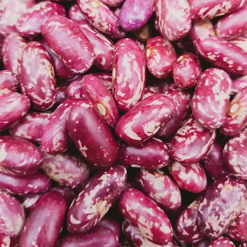 Dried Kidney Beans for Baking and Cooking Congee (kg)