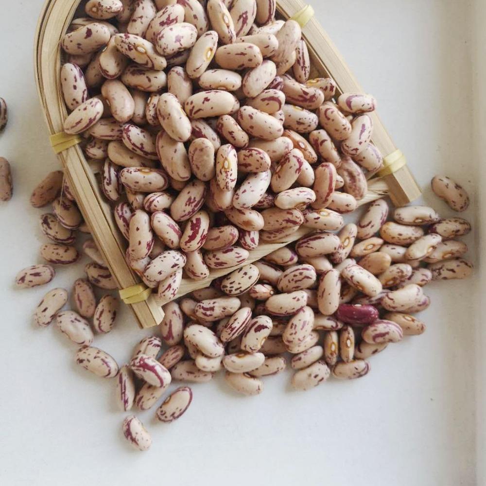 Light Speckled Kidney Beans Farm Fresh Carefully Sorted Whole Beans Rich In Plant Protein For Wholesale Food Ingredient Supply - Image 6