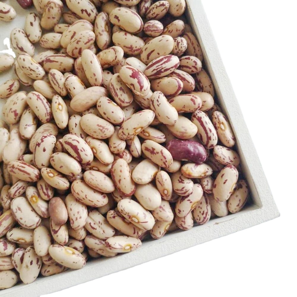 Light Speckled Kidney Beans Farm Fresh Carefully Sorted Whole Beans Rich In Plant Protein For Wholesale Food Ingredient Supply - Image 2